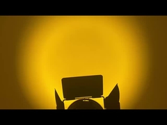 WW CW luz LED de fresnel